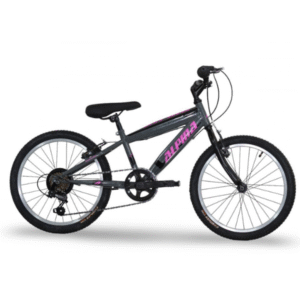 Alpina MTB 20" 7sp S Anthracite Pink