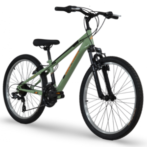 Alpina 24'' MTB 21sp Green Orange