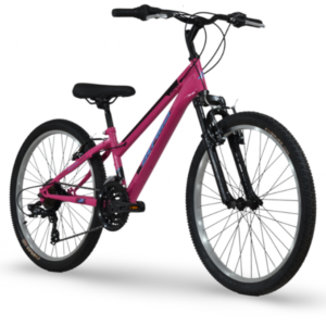 Alpina 24'' MTB 21sp Pink Blue