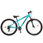 FACTORY CYCLIST (84)