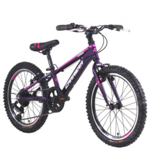 Carrera Junior 20'' 7sp AL VB Rigid Purple Pink